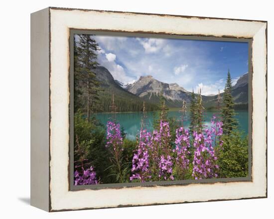 Emerald Lake, Yoho National Park, UNESCO World Heritage Site, British Columbia, Rocky Mountains, Ca-Martin Child-Framed Premier Image Canvas