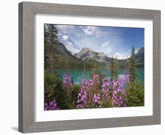 Emerald Lake, Yoho National Park, UNESCO World Heritage Site, British Columbia, Rocky Mountains, Ca-Martin Child-Framed Photographic Print