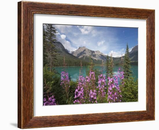 Emerald Lake, Yoho National Park, UNESCO World Heritage Site, British Columbia, Rocky Mountains, Ca-Martin Child-Framed Photographic Print