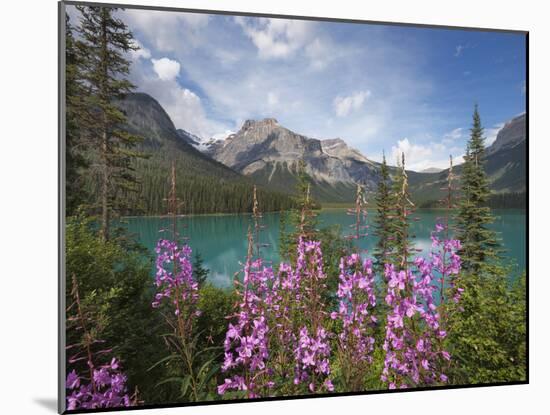 Emerald Lake, Yoho National Park, UNESCO World Heritage Site, British Columbia, Rocky Mountains, Ca-Martin Child-Mounted Photographic Print
