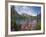 Emerald Lake, Yoho National Park, UNESCO World Heritage Site, British Columbia, Rocky Mountains, Ca-Martin Child-Framed Photographic Print