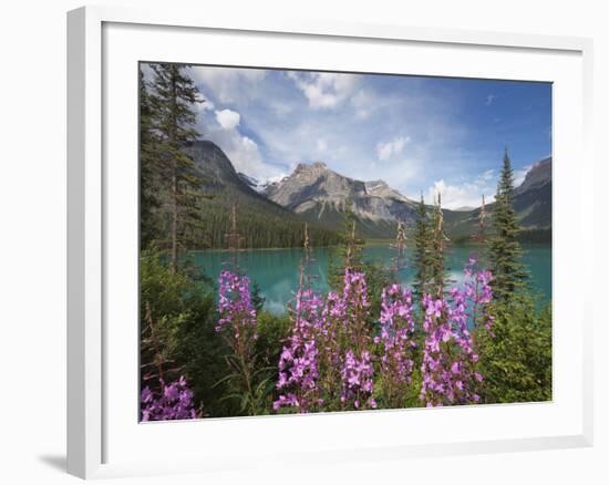 Emerald Lake, Yoho National Park, UNESCO World Heritage Site, British Columbia, Rocky Mountains, Ca-Martin Child-Framed Photographic Print