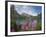 Emerald Lake, Yoho National Park, UNESCO World Heritage Site, British Columbia, Rocky Mountains, Ca-Martin Child-Framed Photographic Print