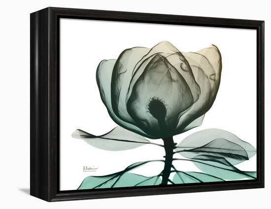 Emerald Magnolia 1-Albert Koetsier-Framed Stretched Canvas