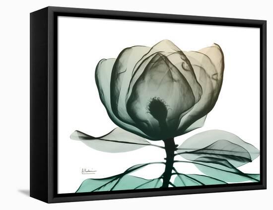 Emerald Magnolia 1-Albert Koetsier-Framed Stretched Canvas