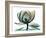 Emerald Magnolia 1-Albert Koetsier-Framed Photo