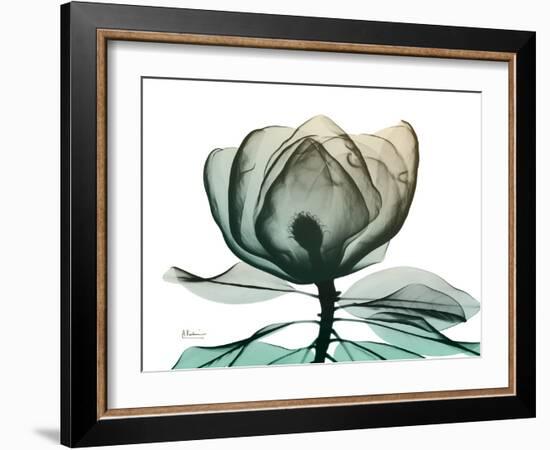 Emerald Magnolia 1-Albert Koetsier-Framed Photo