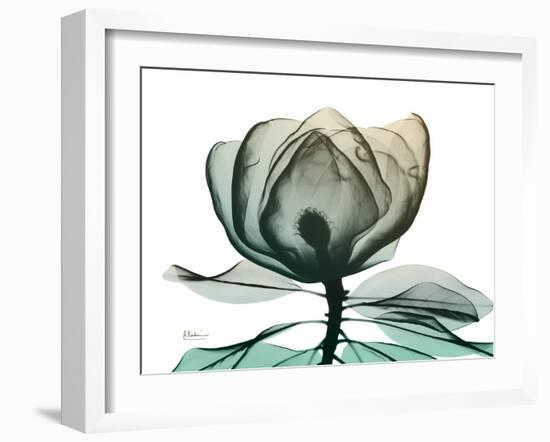 Emerald Magnolia 1-Albert Koetsier-Framed Photo