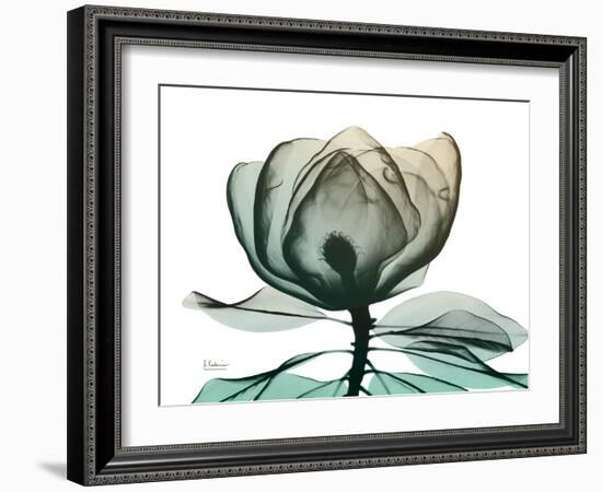 Emerald Magnolia 1-Albert Koetsier-Framed Photo