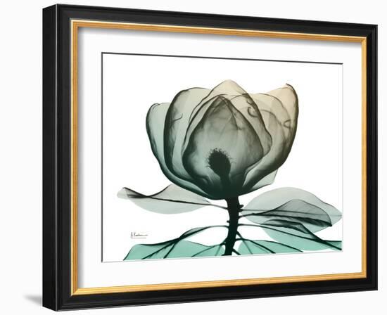 Emerald Magnolia 1-Albert Koetsier-Framed Photo