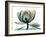 Emerald Magnolia 1-Albert Koetsier-Framed Photo