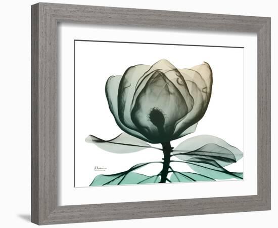 Emerald Magnolia 1-Albert Koetsier-Framed Photographic Print