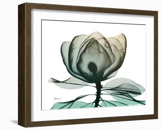 Emerald Magnolia 1-Albert Koetsier-Framed Photographic Print