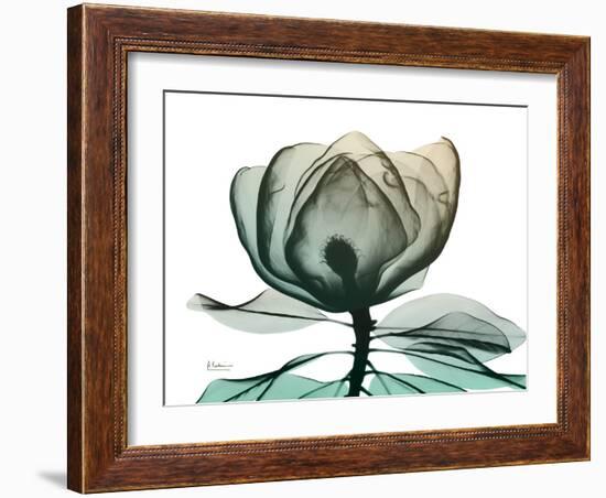 Emerald Magnolia 1-Albert Koetsier-Framed Photographic Print