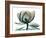 Emerald Magnolia 1-Albert Koetsier-Framed Photographic Print