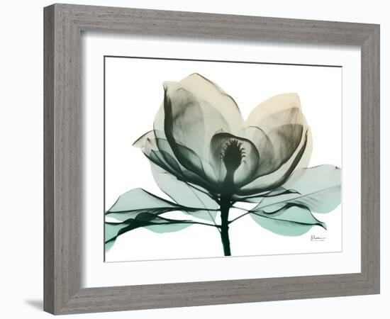 Emerald Magnolia 2-Albert Koetsier-Framed Photographic Print