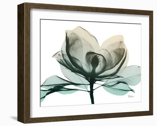Emerald Magnolia 2-Albert Koetsier-Framed Photographic Print