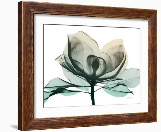 Emerald Magnolia 2-Albert Koetsier-Framed Photographic Print