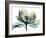 Emerald Magnolia 2-Albert Koetsier-Framed Photographic Print