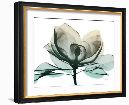 Emerald Magnolia 2-Albert Koetsier-Framed Photographic Print