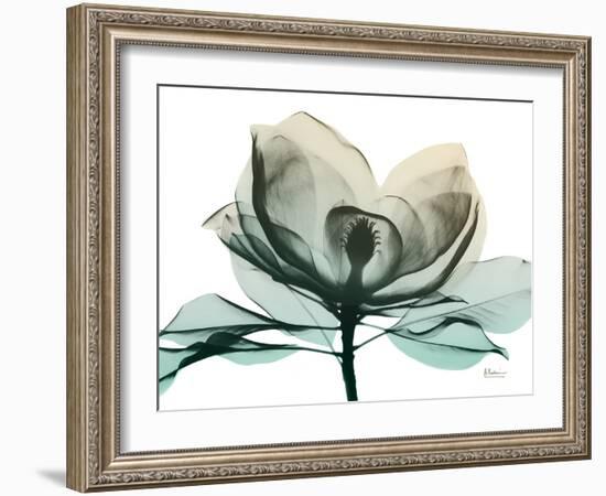 Emerald Magnolia 2-Albert Koetsier-Framed Photo