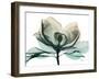Emerald Magnolia 2-Albert Koetsier-Framed Photo