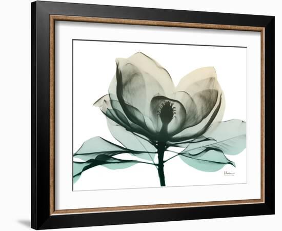 Emerald Magnolia 2-Albert Koetsier-Framed Photo