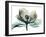 Emerald Magnolia 2-Albert Koetsier-Framed Photo