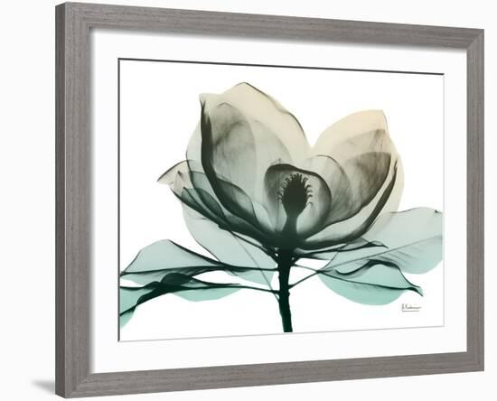 Emerald Magnolia 2-Albert Koetsier-Framed Photo