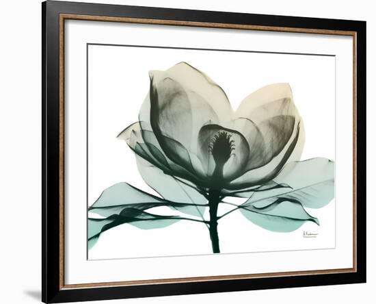 Emerald Magnolia 2-Albert Koetsier-Framed Photo