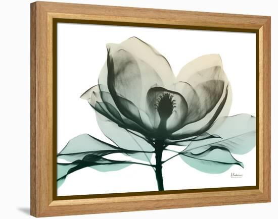 Emerald Magnolia 2-Albert Koetsier-Framed Stretched Canvas