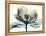 Emerald Magnolia 2-Albert Koetsier-Framed Stretched Canvas