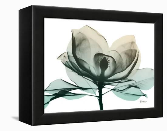 Emerald Magnolia 2-Albert Koetsier-Framed Stretched Canvas