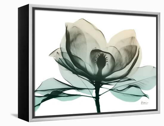 Emerald Magnolia 2-Albert Koetsier-Framed Stretched Canvas