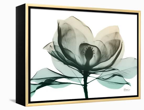 Emerald Magnolia 2-Albert Koetsier-Framed Stretched Canvas