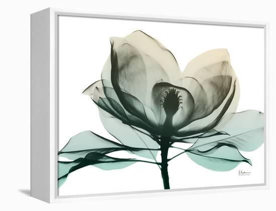 Emerald Magnolia 2-Albert Koetsier-Framed Stretched Canvas