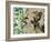 Emerald Nature 1-Matina Theodosiou-Framed Art Print