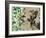 Emerald Nature 1-Matina Theodosiou-Framed Art Print