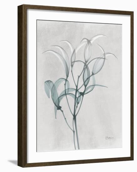 Emerald Oleander Bush-Albert Koetsier-Framed Photo