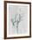 Emerald Oleander Bush-Albert Koetsier-Framed Photo