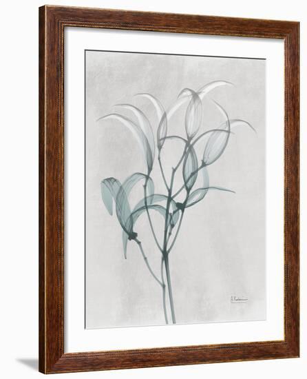 Emerald Oleander Bush-Albert Koetsier-Framed Photo