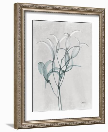 Emerald Oleander Bush-Albert Koetsier-Framed Photo