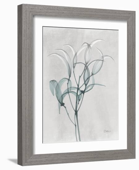 Emerald Oleander Bush-Albert Koetsier-Framed Photo