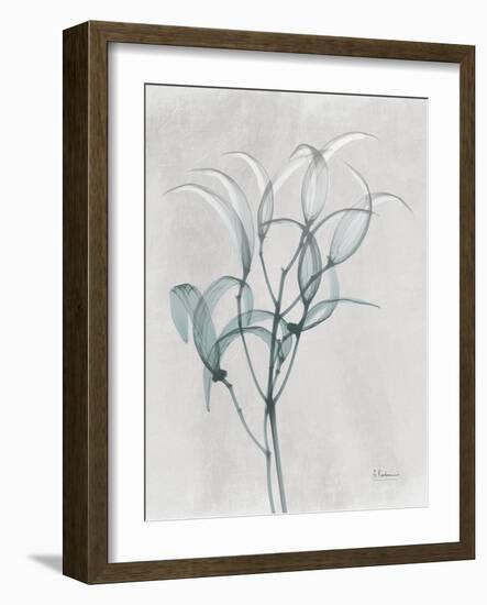 Emerald Oleander Bush-Albert Koetsier-Framed Photo