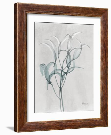 Emerald Oleander Bush-Albert Koetsier-Framed Photo