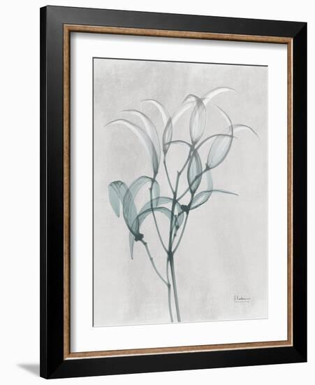 Emerald Oleander Bush-Albert Koetsier-Framed Photo