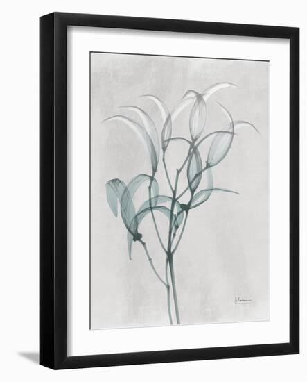 Emerald Oleander Bush-Albert Koetsier-Framed Photo