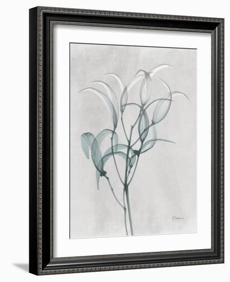 Emerald Oleander Bush-Albert Koetsier-Framed Photographic Print