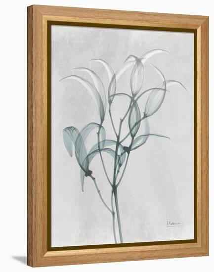 Emerald Oleander Bush-Albert Koetsier-Framed Stretched Canvas