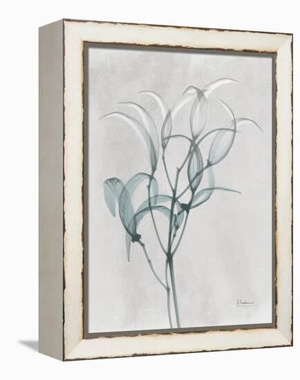 Emerald Oleander Bush-Albert Koetsier-Framed Stretched Canvas